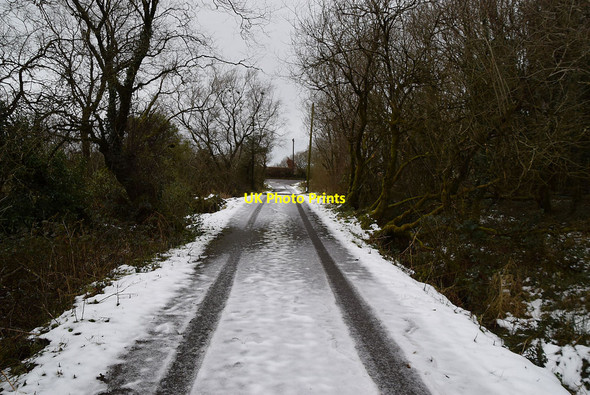 Photo 6"x4" Wintry along Rarogan Road Garvaghy c2022