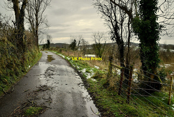 Photo 6"x4" Tycanny Road, Tycanny Garvaghy c2022