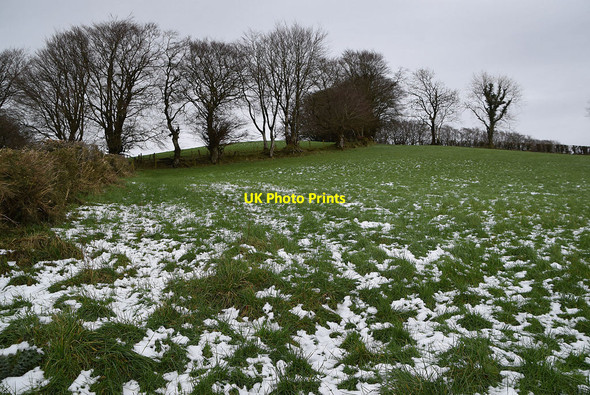 Photo 6"x4" Tycanny Hill Garvaghy c2022