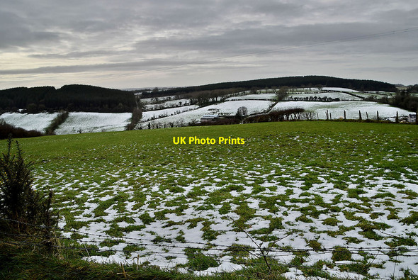 Photo 6"x4" Wintry at Tycanny Garvaghy c2022