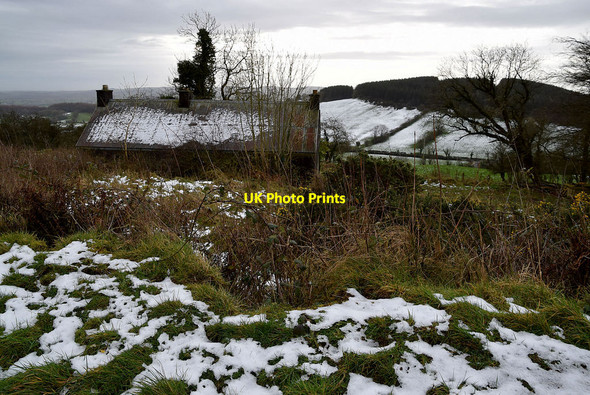 Photo 6"x4" Derelict farmhouse, Tycanny Garvaghy c2022