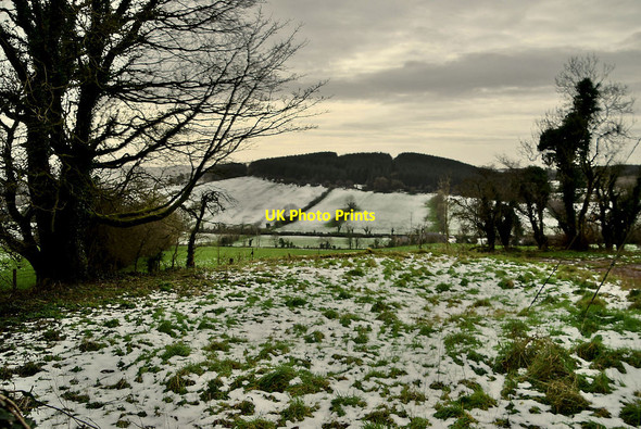 Photo 6"x4" Wintry at Tycanny Garvaghy c2022
