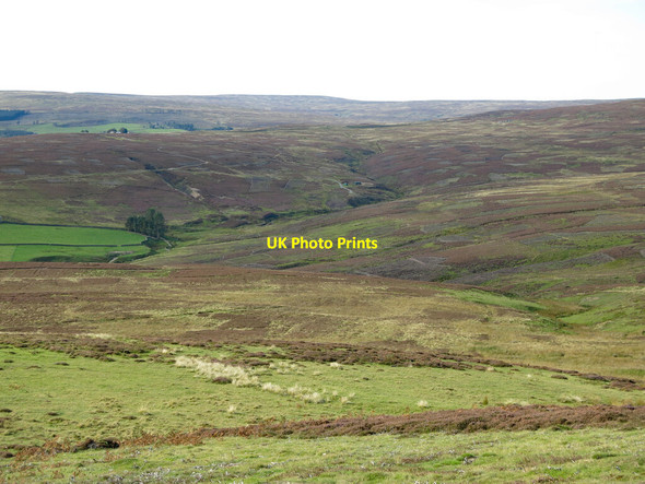 Photo 6"x4" The valley of Black Burn Stanhope\/NY9939 c2020