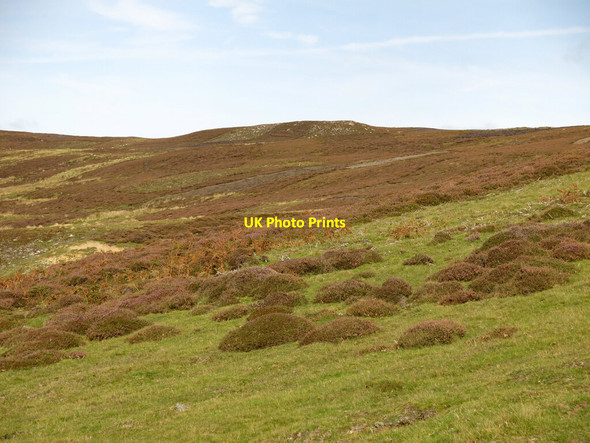 Photo 6"x4" The southwestern slopes of Fatherley Hill Stanhope\/NY9939 c2020