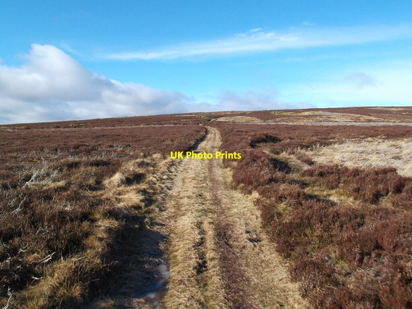 Photo 6"x4" St Cuthbert's Way on Gains Law Akeld c2022