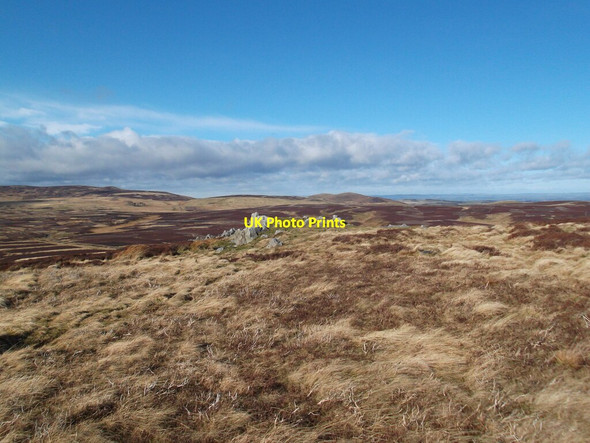 Photo 6"x4" Outcrop on Fredden Hill Akeld c2022