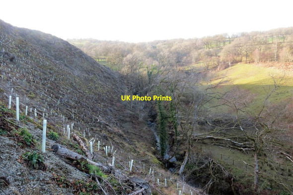 Photo 6"x4" Cwm Bargod Rhandirmwyn c2022