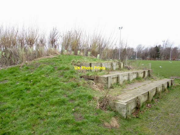 Photo 6"x4" Terracing, Saughton Park Gorgie c2022