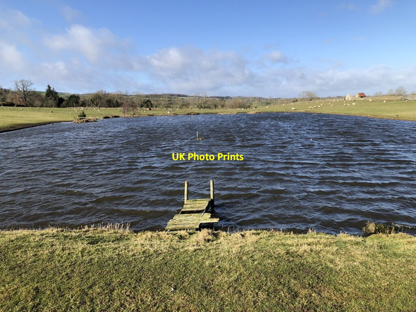 Photo 6"x4" Pond On Farmland Near Ravensworth Gayles\/NZ1207 c2022