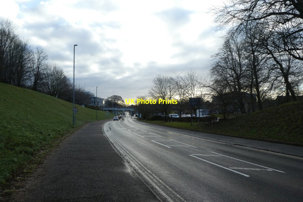 Photo 6"x4" Along University Road Heslington c2022