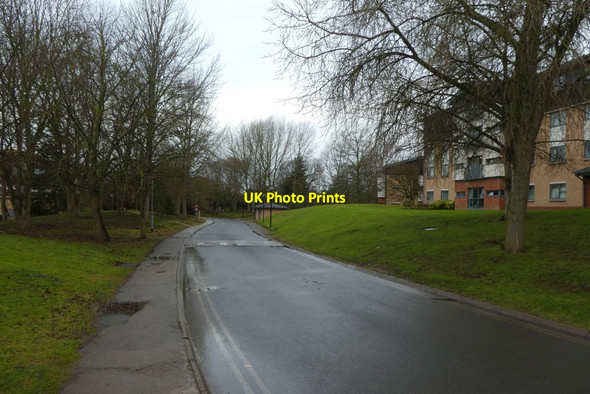 Photo 6"x4" Wentworth Way York\/SE5951 c2022