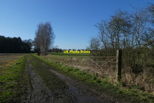 Photo 6"x4" Gate and farm track Heslington c2022