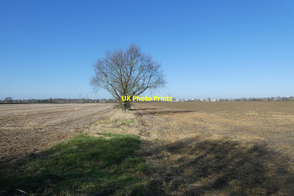 Photo 6"x4" Field boundary along Common Lane Heslington c2022