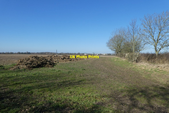 Photo 6"x4" Manure heap near Green Lane Grimston\/SE6451 c2022
