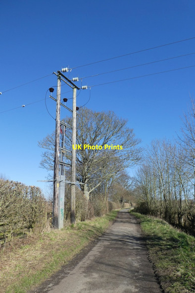 Photo 6"x4" Low Lane Grimston\/SE6451 c2022