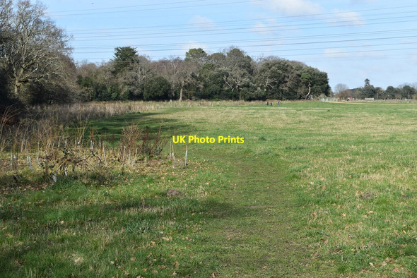 Photo 6"x4" Southern end of Upton Country Park Turlin Moor c2022