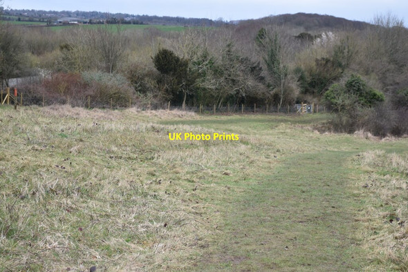 Photo 6"x4" Northwest edge of Shawford Down Compton\/SU4625 c2022