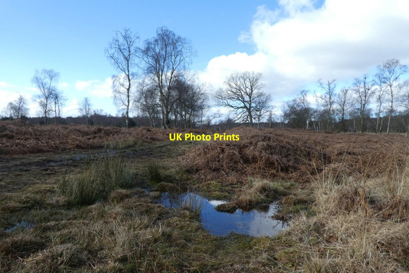Photo 6"x4" Track over Strensall Common Strensall c2022