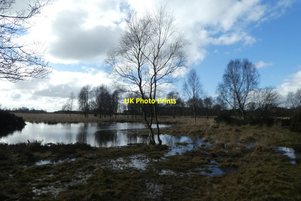 Photo 6"x4" Pool on Strensall Common Strensall c2022