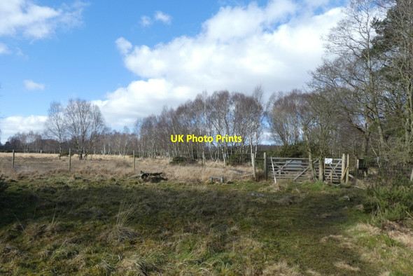 Photo 6"x4" Gate and military boundary Strensall c2022