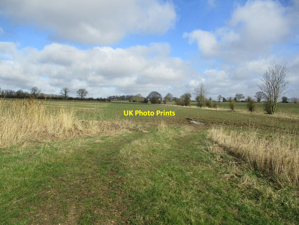 Photo 6"x4" Autumn sown crop near Claxby Pluckacre Moorby c2022