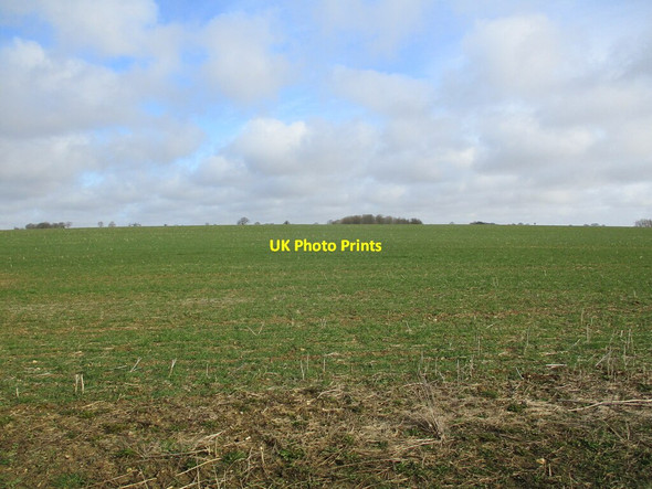 Photo 6"x4" Autumn sown crop near Claxby Pluckacre Moorby c2022