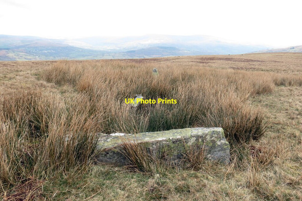 Photo 6"x4" Rhes gerrig \/ Stone row Wern\/SO1117 c2022