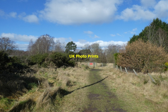 Photo 6"x4" Boundary fence and gate Strensall c2022