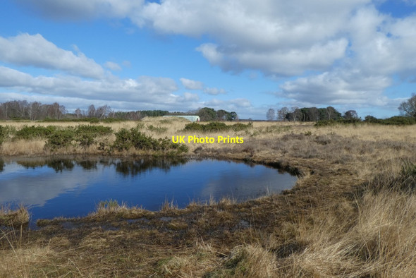 Photo 6"x4" Pool on Strensall Common Towthorpe\/SE6358 c2022