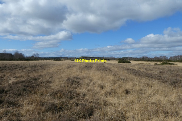 Photo 6"x4" Strensall Common and ranges Strensall c2022