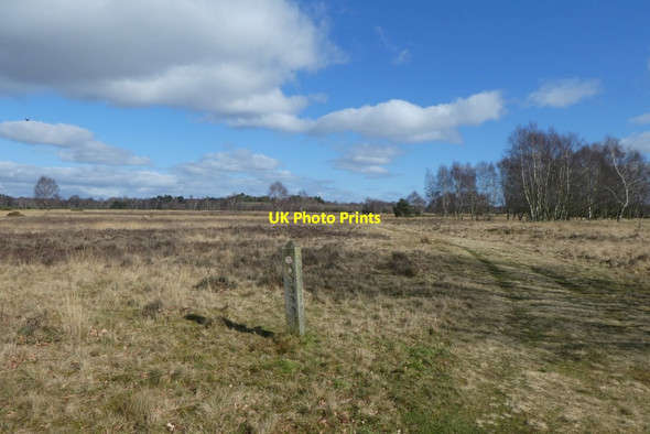 Photo 6"x4" Wayfinder on Strensall Common Strensall c2022