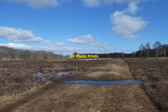 Photo 6"x4" Puddles on the track Strensall c2022