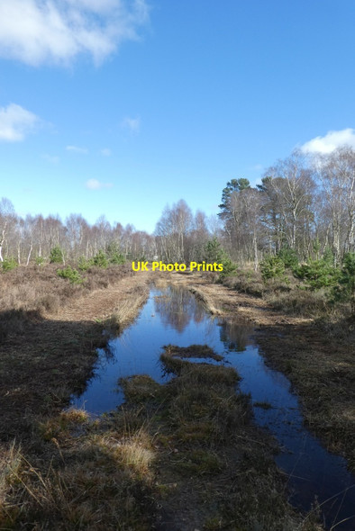 Photo 6"x4" Flooded track on the common Strensall c2022