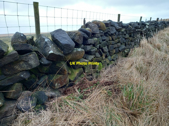 Photo 6"x4" Stainburn Moor, Broad Dubb Road Brown Bank\/SE2153 c2022