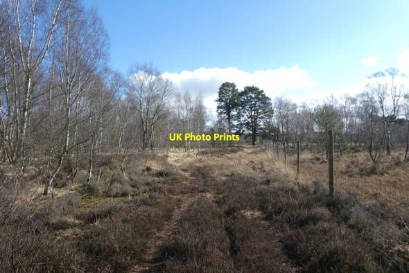 Photo 6"x4" Military boundary fence Strensall c2022