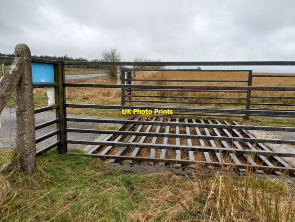Photo 6"x4" Beckwithshaw, Norwood Lane Brown Bank\/SE2153 c2022