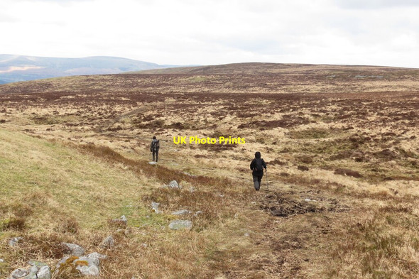 Photo 6"x4" Mynydd Llangynidr Wern\/SO1117 c2022