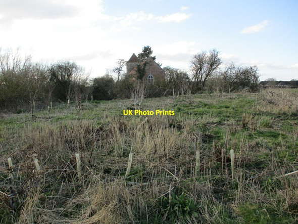 Photo 6"x4" New plantation and All Saints' church, Stapleford Stapleford\/SK8857 c2022