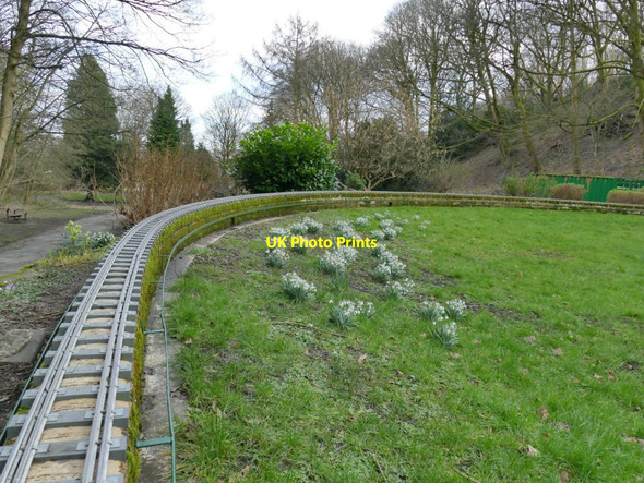 Photo 6"x4" Northcliffe Park: miniature railway with snowdrops Shipley\/SE1437 c2022