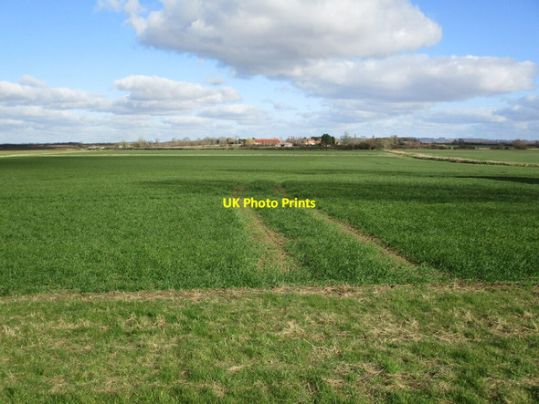 Photo 6"x4" Autumn sown crop near Sutton Sutton\/SK8752 c2022