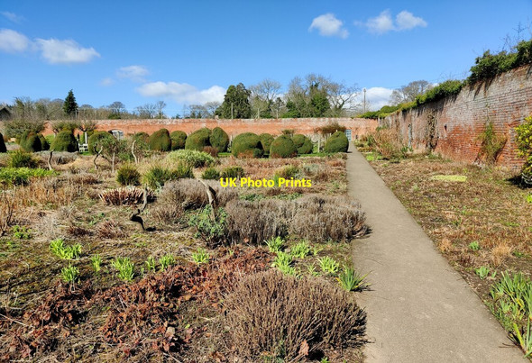 Photo 6"x4" Walled garden at Croft Castle Croft\/SO4565 c2022