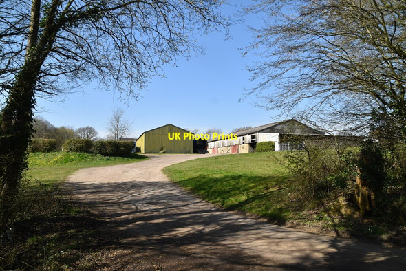 Photo 6"x4" Ringle Green Farm Linkhill c2021