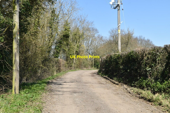 Photo 6"x4" Marsh Quarter Lane Linkhill c2021 P1