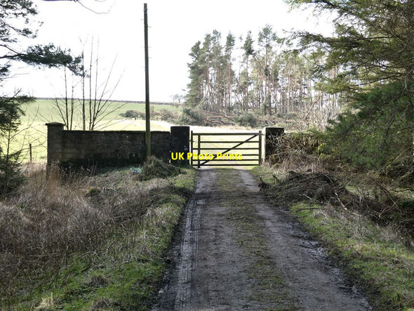 Photo 6"x4" Gate on the road Capheaton c2022