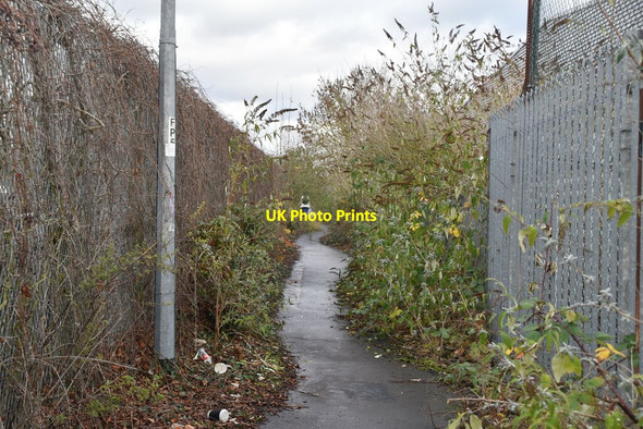 Photo 6"x4" Fenced footpath Loughton\/TQ4396 c2021