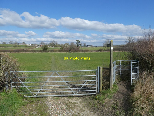 Photo 6"x4" Path towards Barrow Covert North Barrow c2022