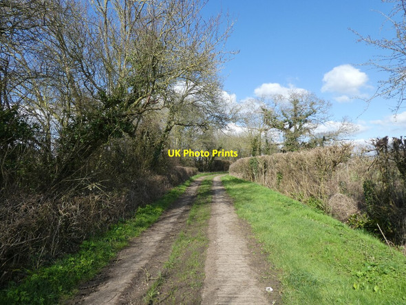 Photo 6"x4" Pyle Well Lane Foddington c2022