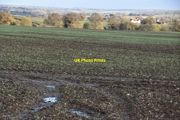 Photo 6"x4" Essex farmland Hobbs Cross\/TQ4799 c2021