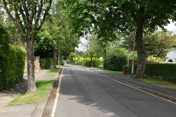 Photo 6"x4" Green Drift Royston\/TL3541 c2021 P1