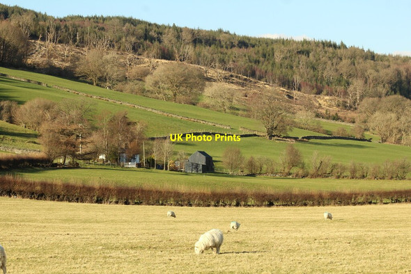 Photo 6"x4" Deforestation at Penmachno Penmachno c2022